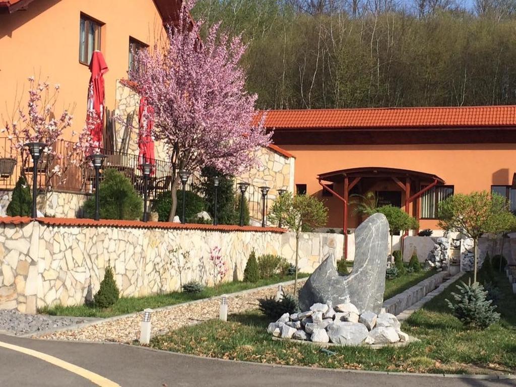 Hotel Belvedere Sovata Extérieur photo